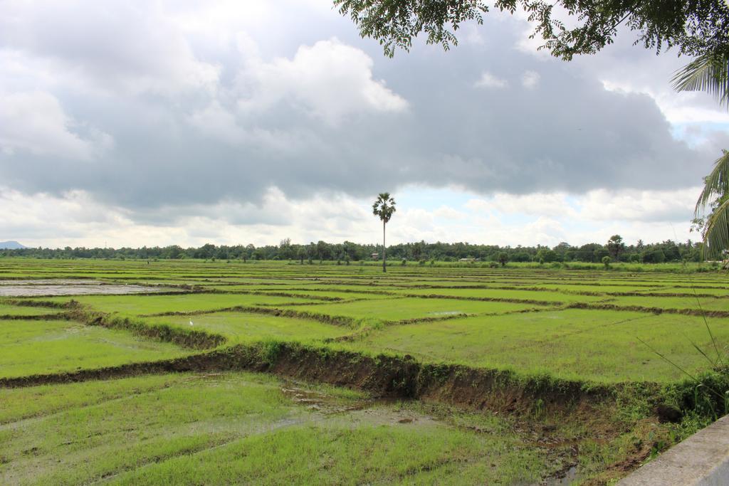 Sunshine Tourist Rest Anuradhapura Exterior foto